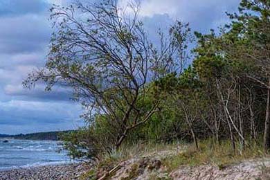 山西汾酒球队新战术体系见成效，山西汾酒球员名单