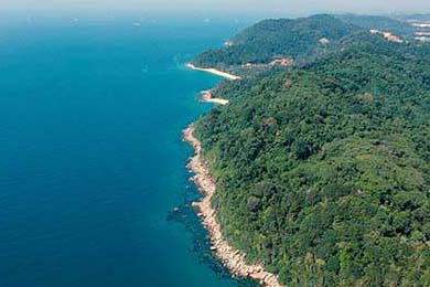 俄罗斯球员表现出色赢得国际赛事，俄罗斯球员表现出色赢得国际赛事有哪些