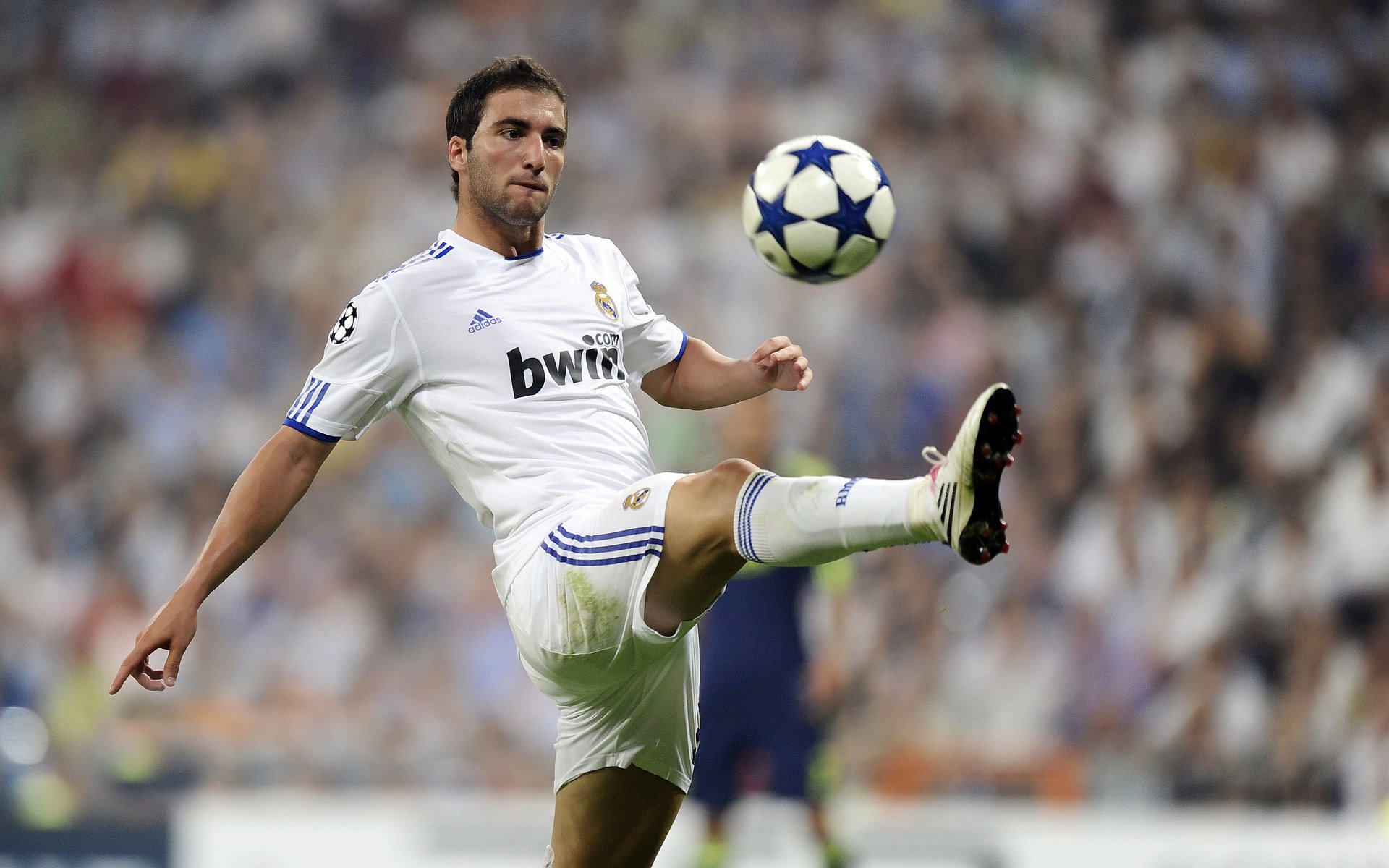 Aster目标直指世界赛冠军