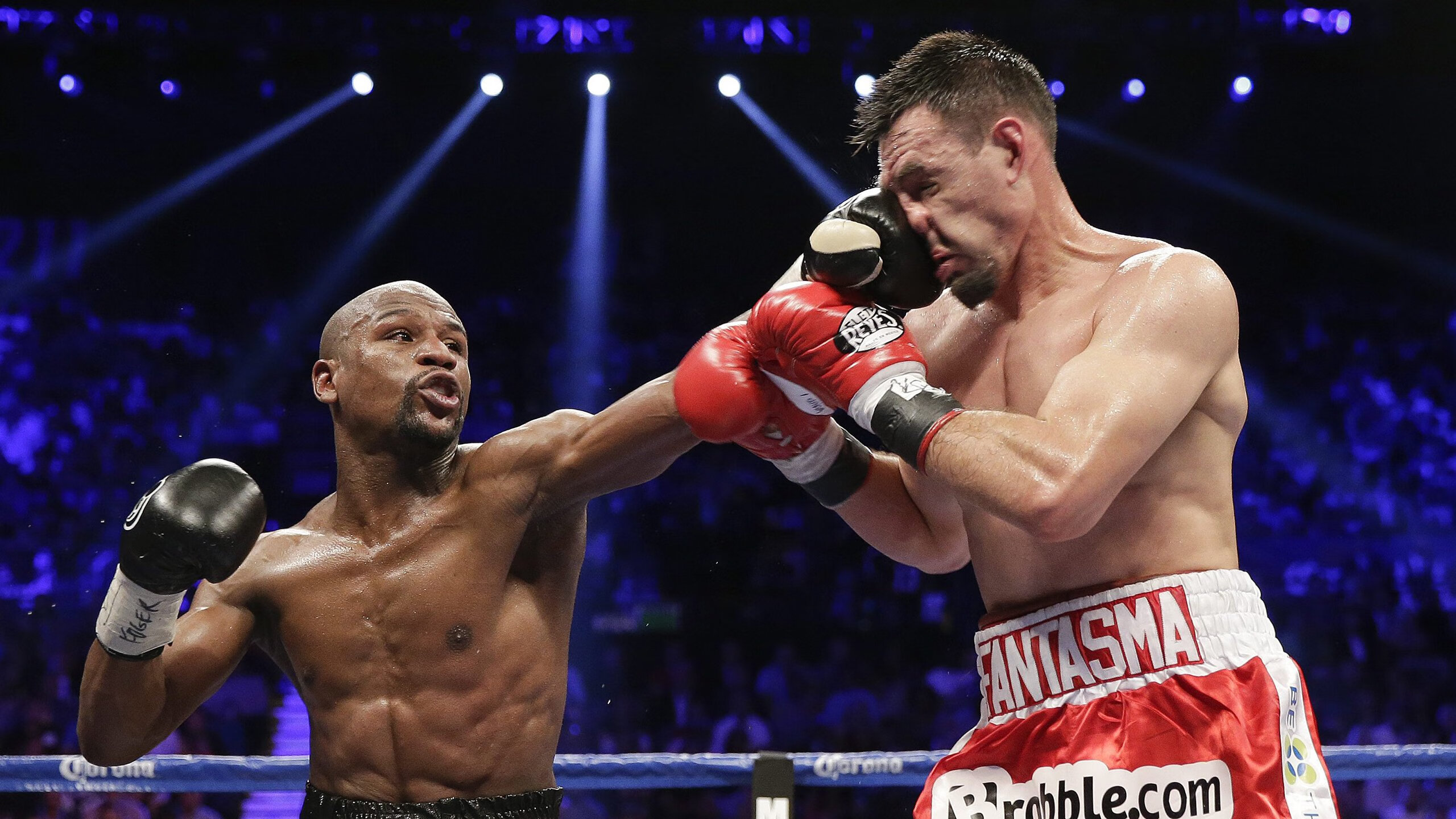 _鹈鹕不断调整，实力不断提升_，“鹈鹕”